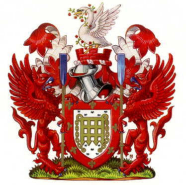 Click the image to read about the arms